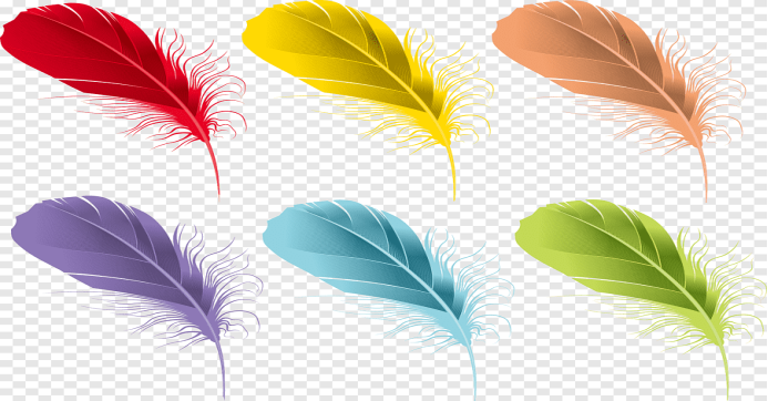Перо евклидовой акварели, мультфильм красивые разноцветные перья, цвет  Всплеск, животные png | PNGEgg